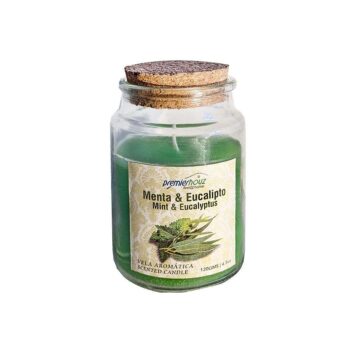 Vela Aromática Menta Eucalipto 120 gramos