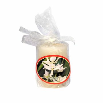 Pack de 12 velas votive - Aroma Vainilla