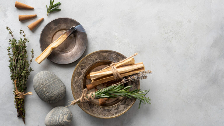 bursera-graveolens-planta-arbol-sagrado-espanol