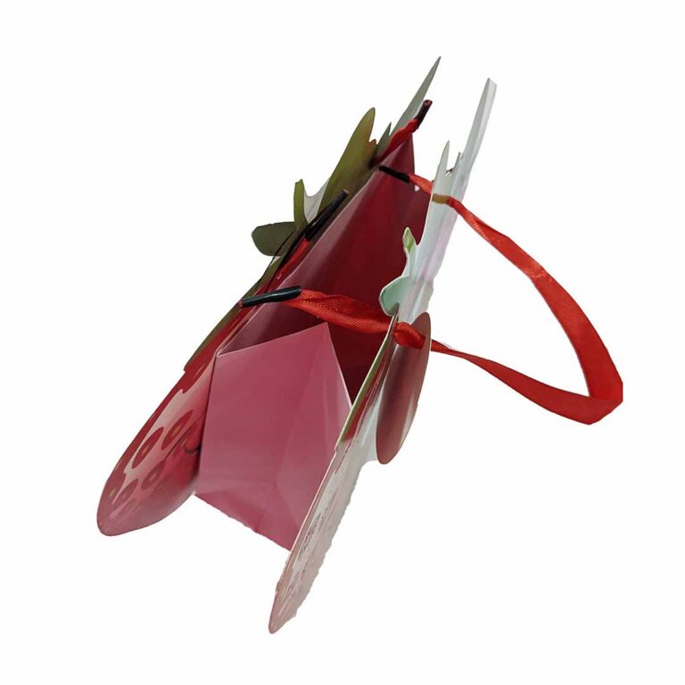 Bolsa de Regalo Frutilla