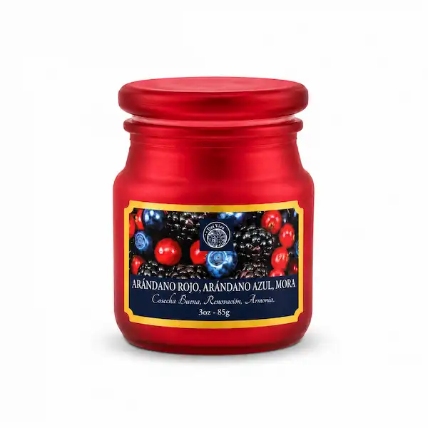 Vela Aromática Arándano y Mora 85 g en Frasco de Vidrio | Desi Vibes